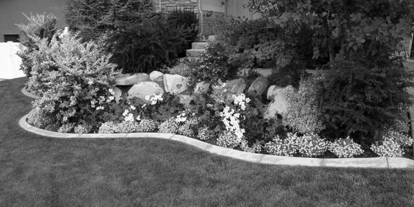 Collection of plants in a built-in flower bed